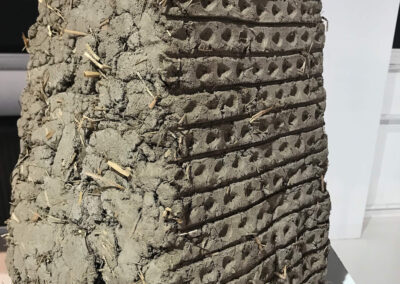 ASP Final Version Booster of Innovation Krystyna Jarek