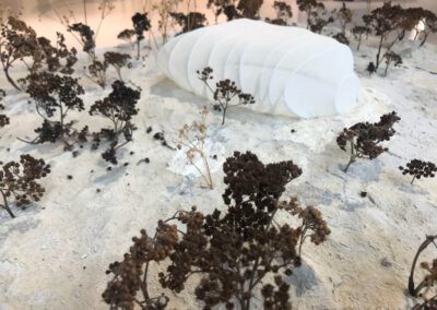 ASP Final Version Booster of Innovation Krystyna Jarek