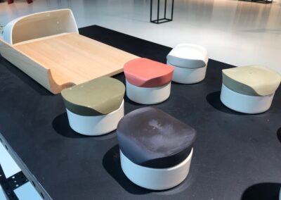 ASP Final Version Booster of Innovation Krystyna Jarek